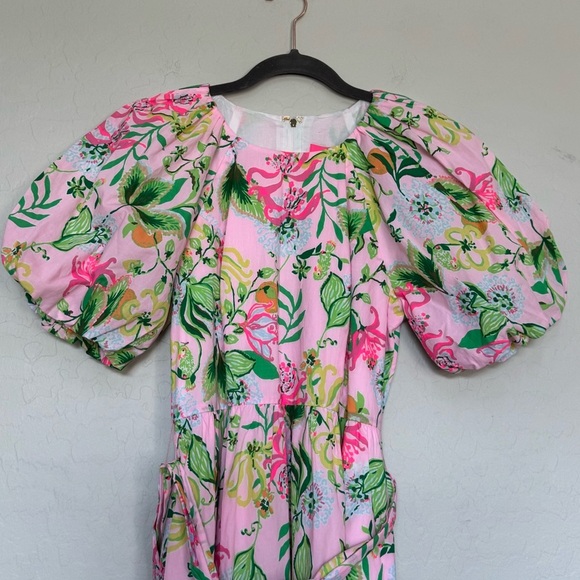 Lilly Pulitzer Knoxlie Dress size 4 NWT - Picture 2 of 8